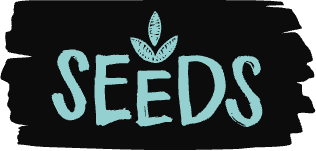 Superseed Mainnet Live
